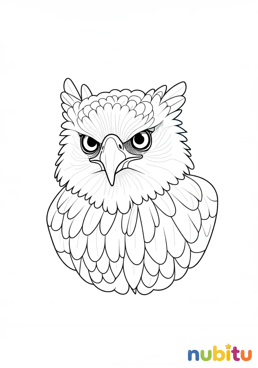 Dibujo
