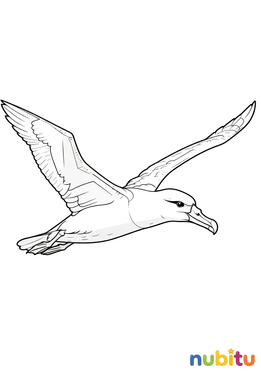 Dibujo