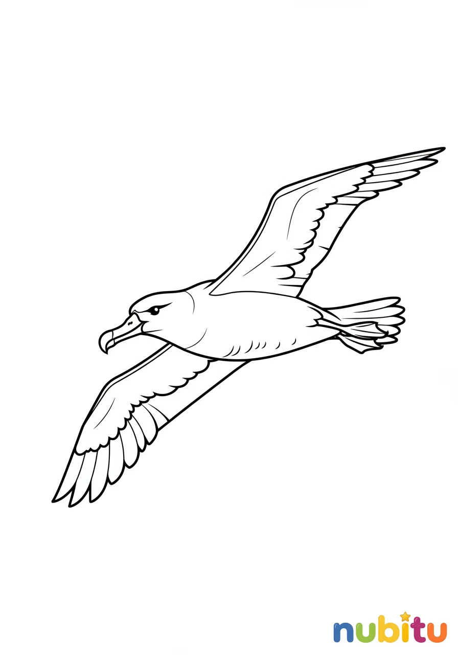 Dibujo