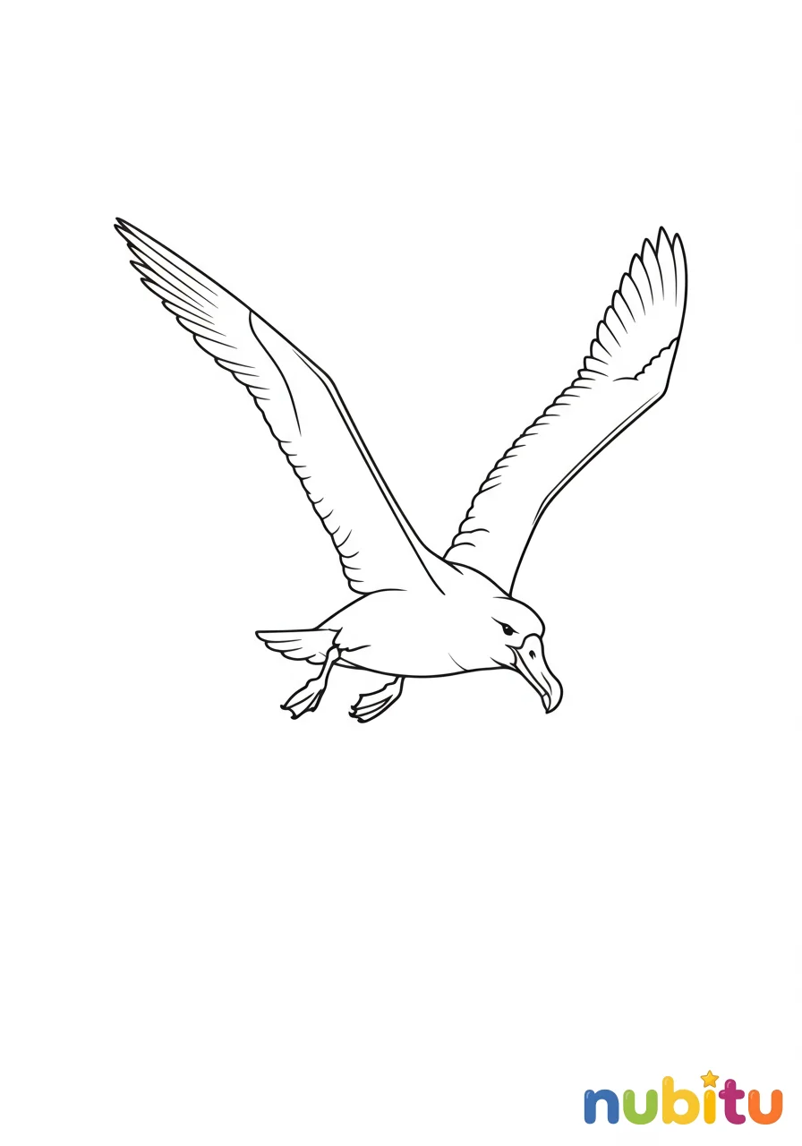 Dibujo
