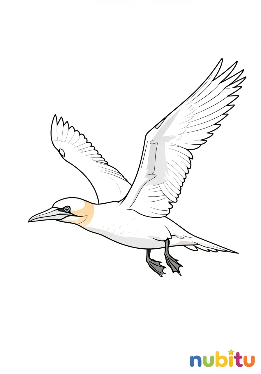 Dibujo