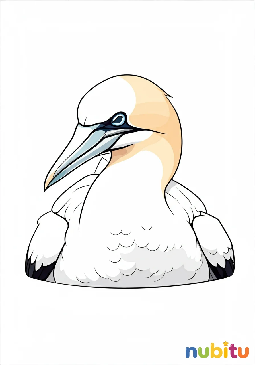 Dibujo