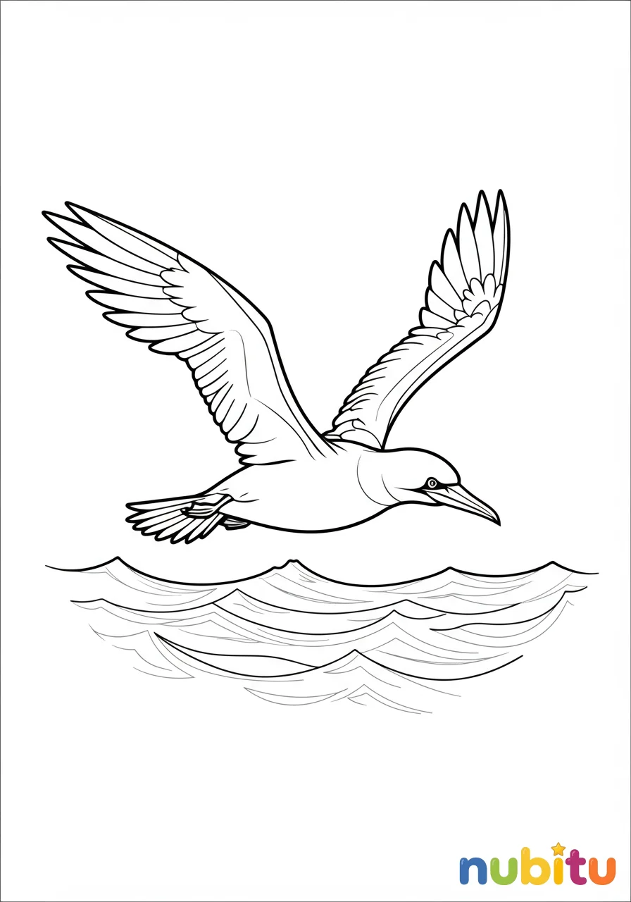 Dibujo