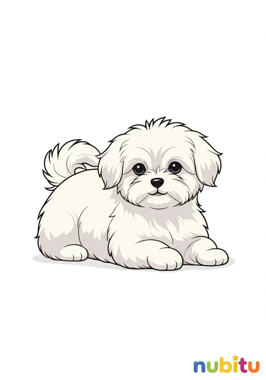 Dibujo