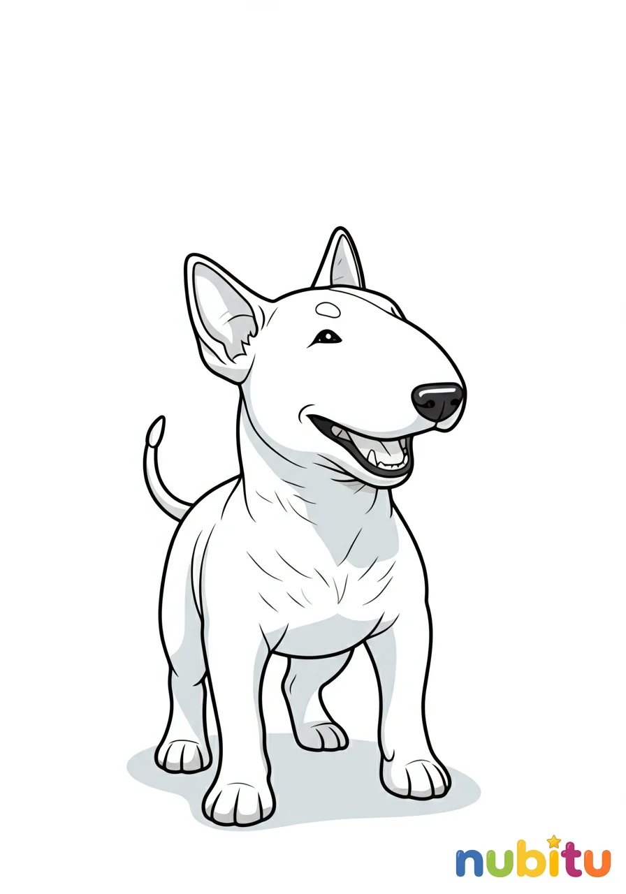 Dibujo