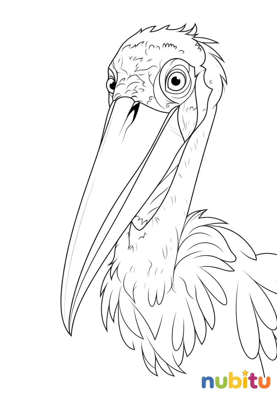 Dibujo