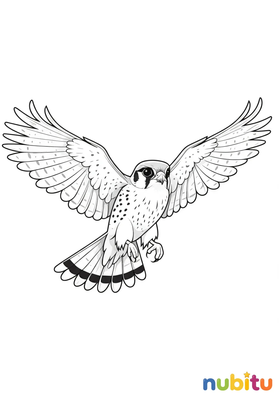 Dibujo