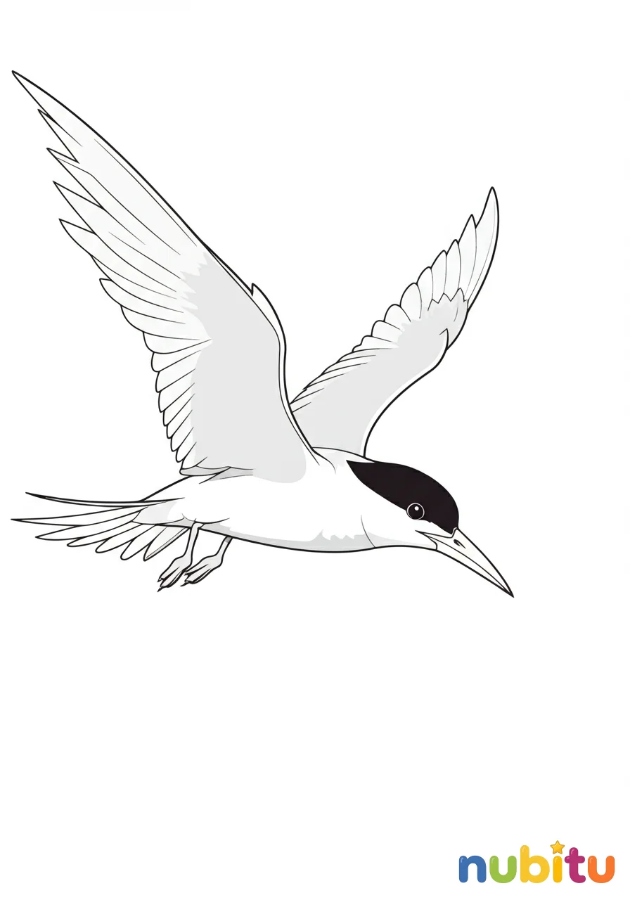 Dibujo