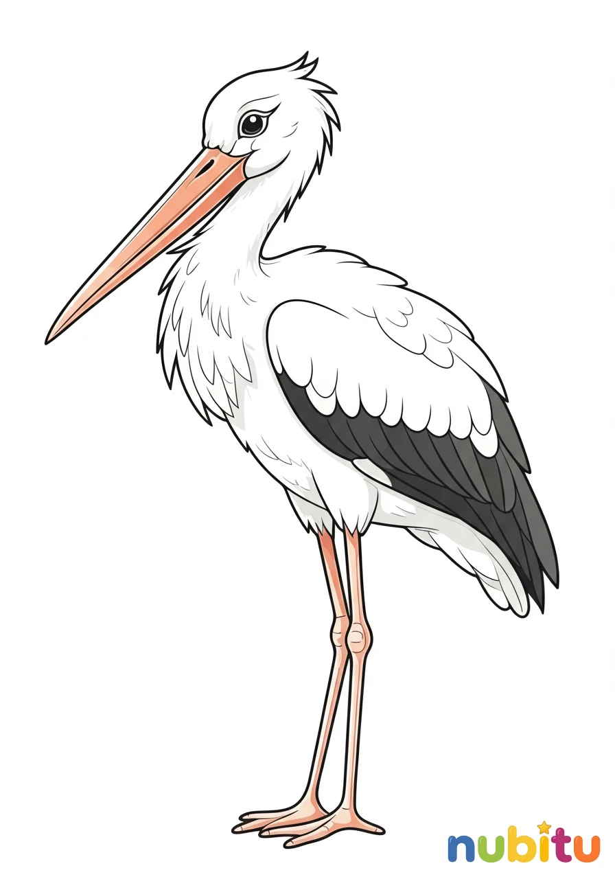 Dibujo