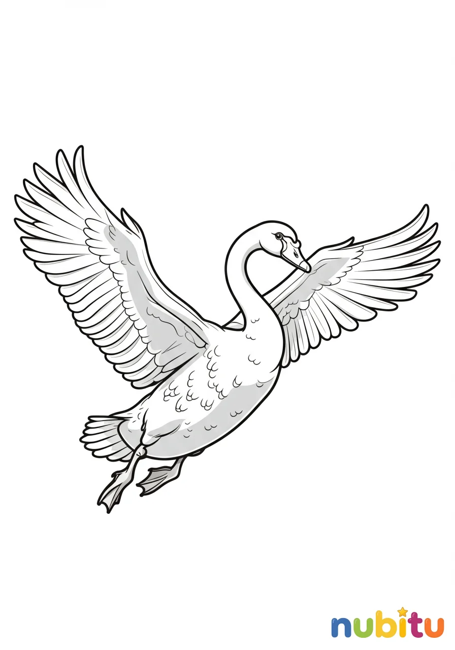 Dibujo