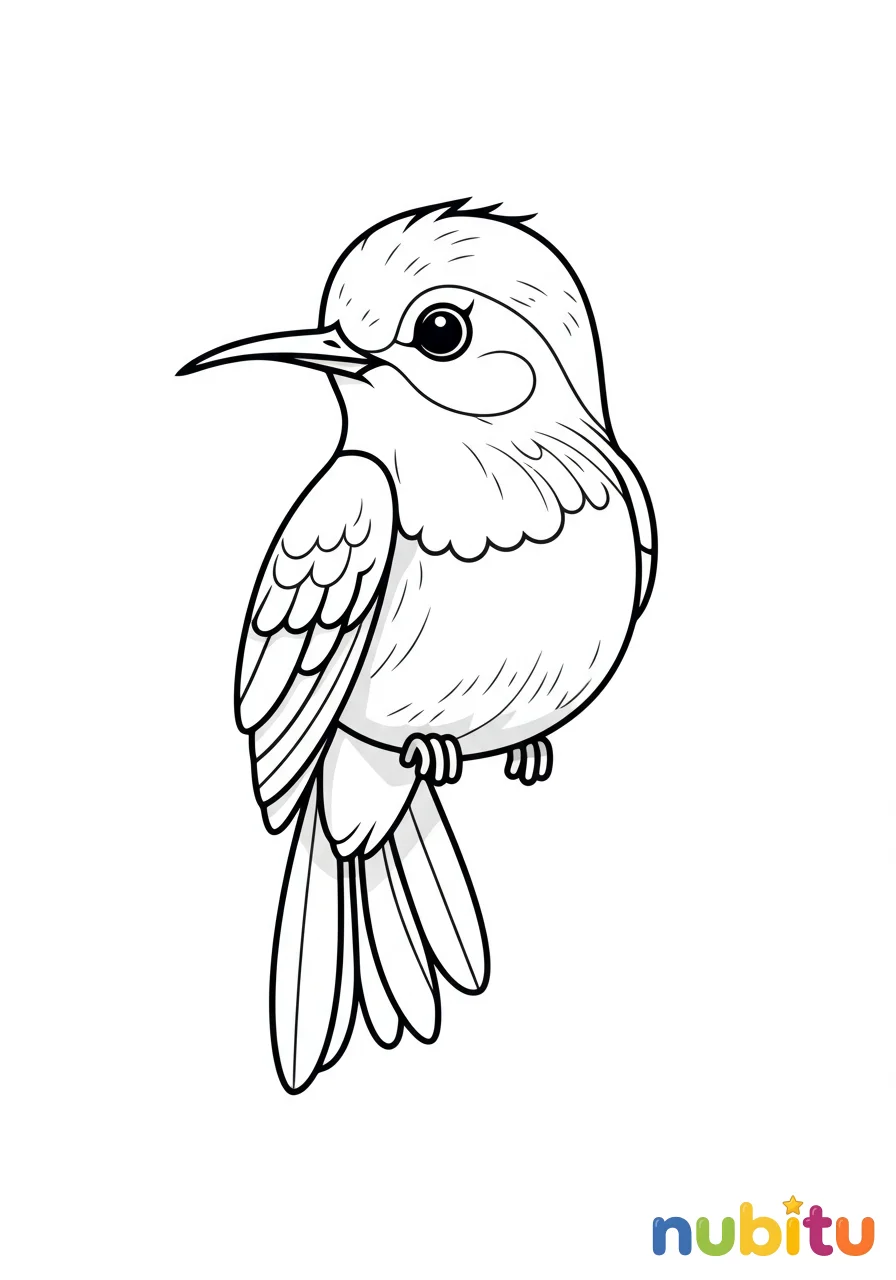 Dibujo