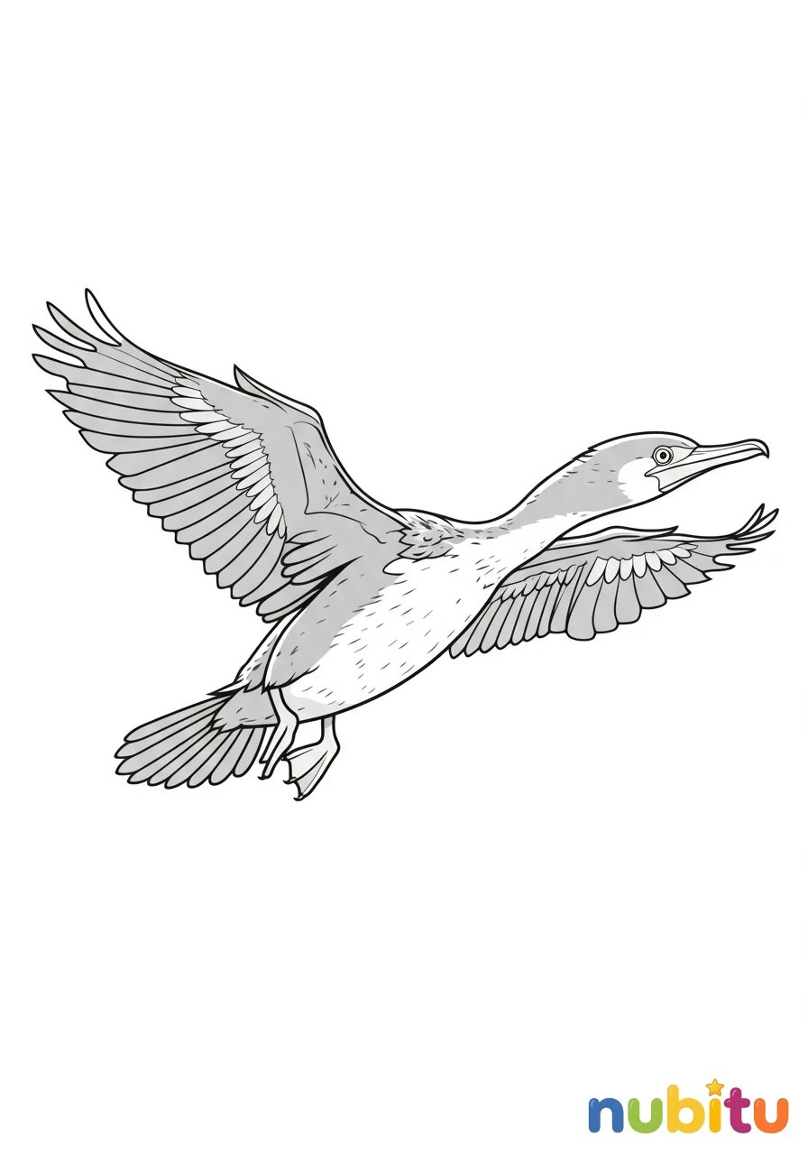Dibujo