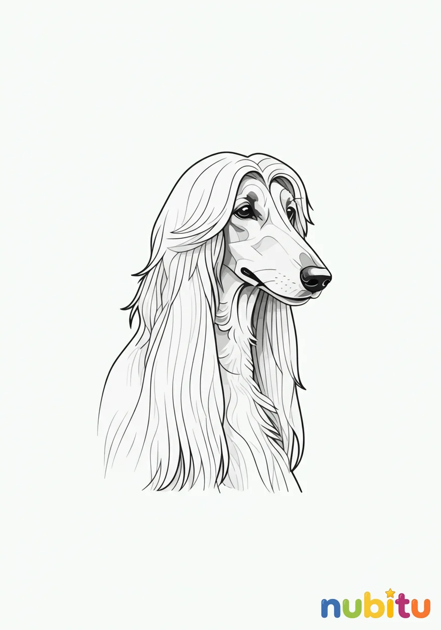 Dibujo
