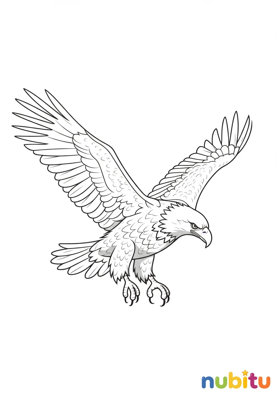 Dibujo
