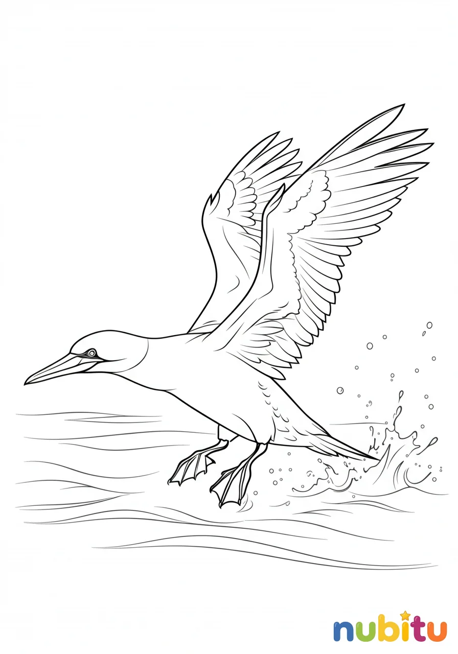 Dibujo