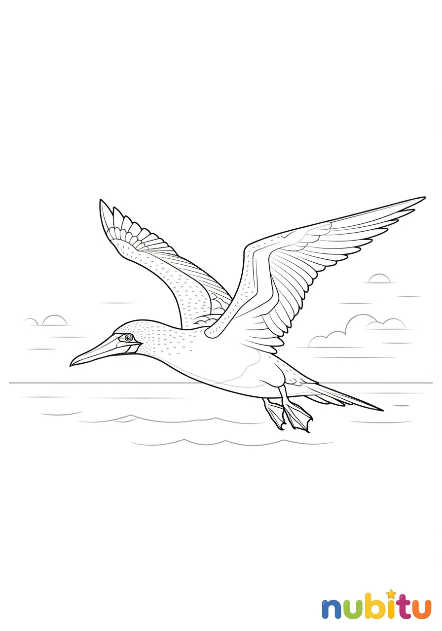 Dibujo