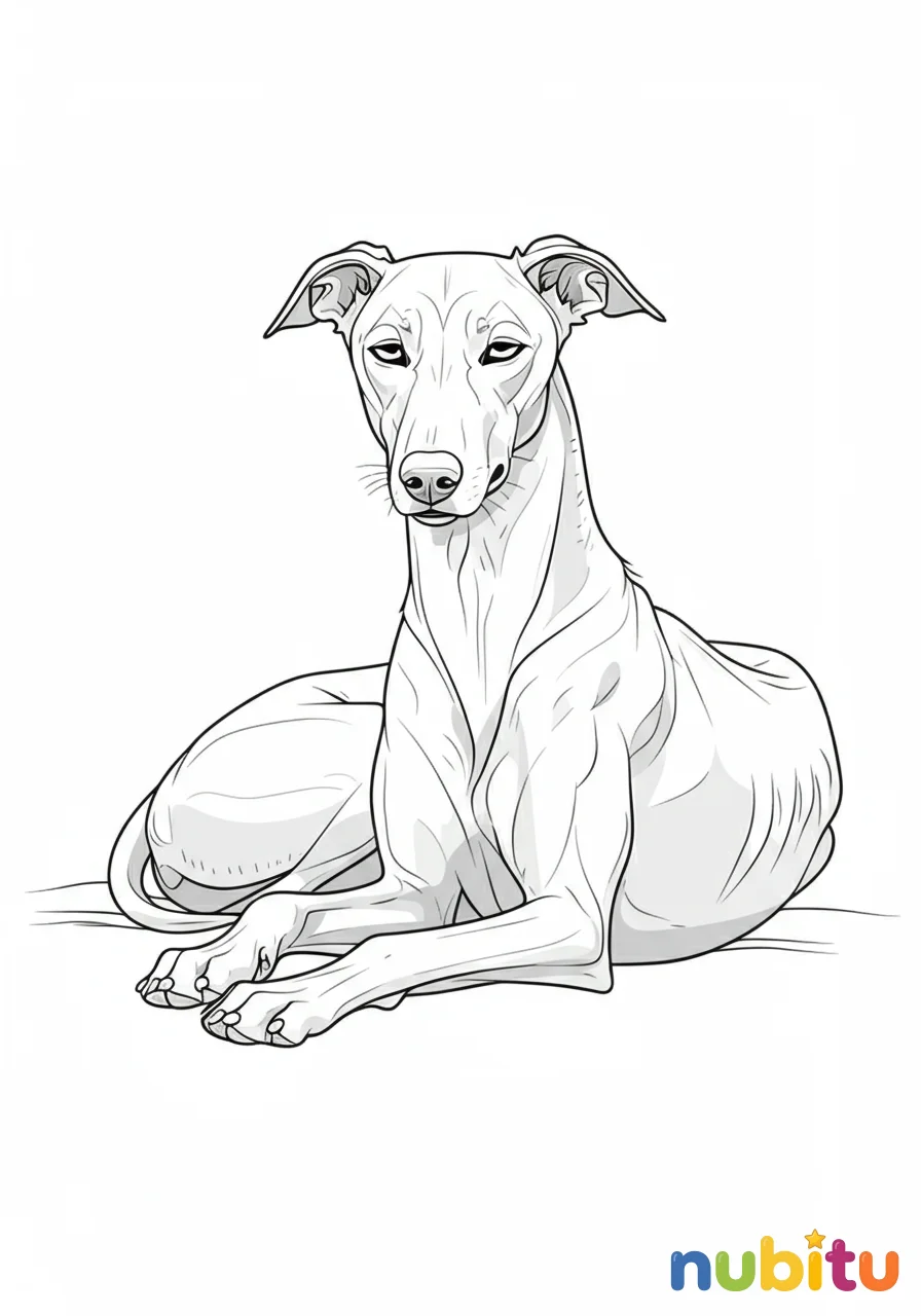 Dibujo