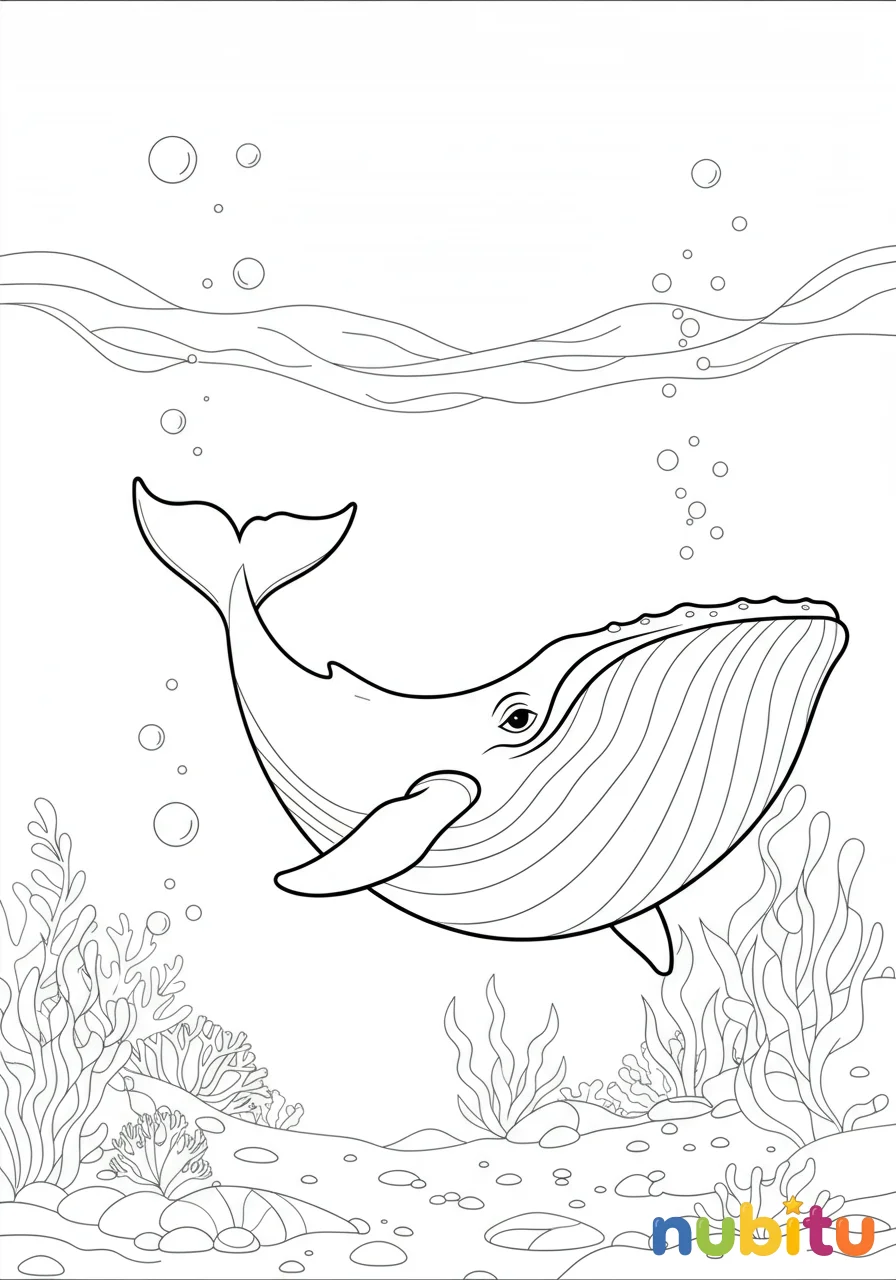 Dibujo