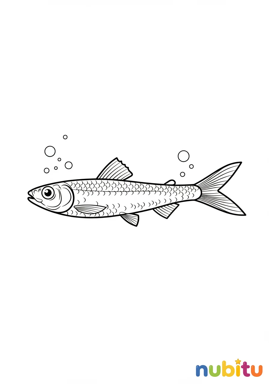 ¡sumérgete en la aventura con los más tiernos boquerones para pequeños exploradores marinos! 🐠