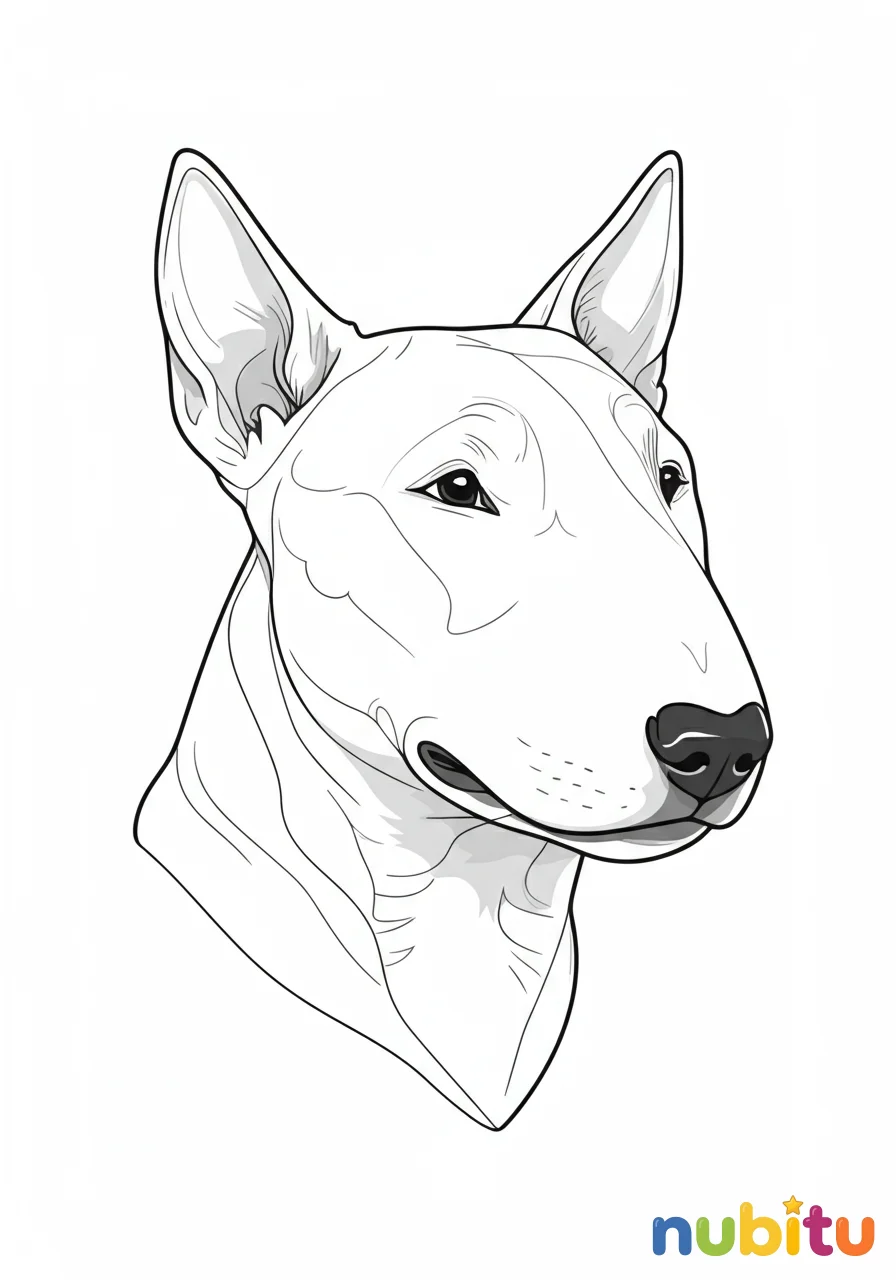 Dibujo