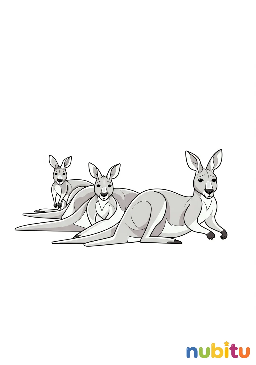 Dibujo