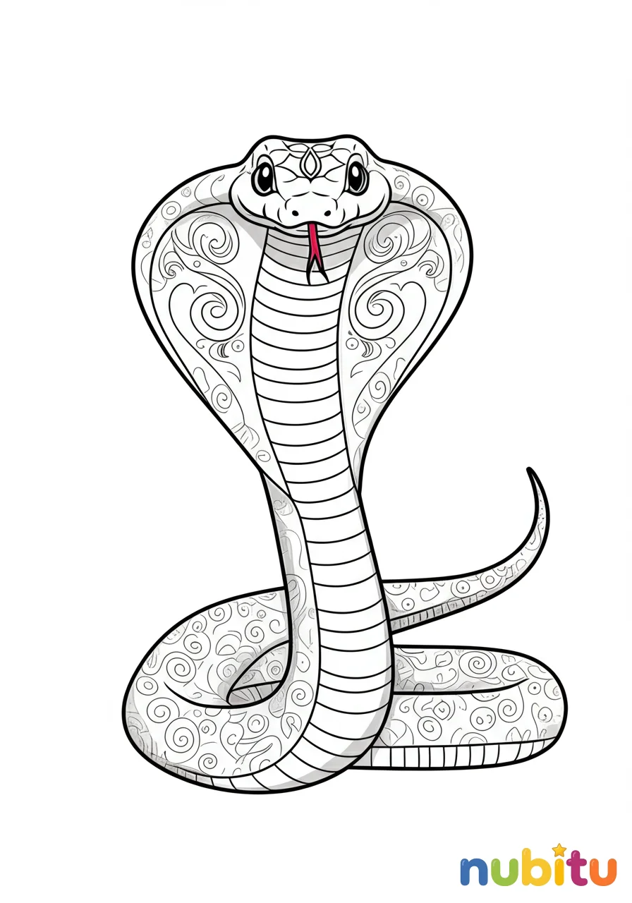 Dibujo