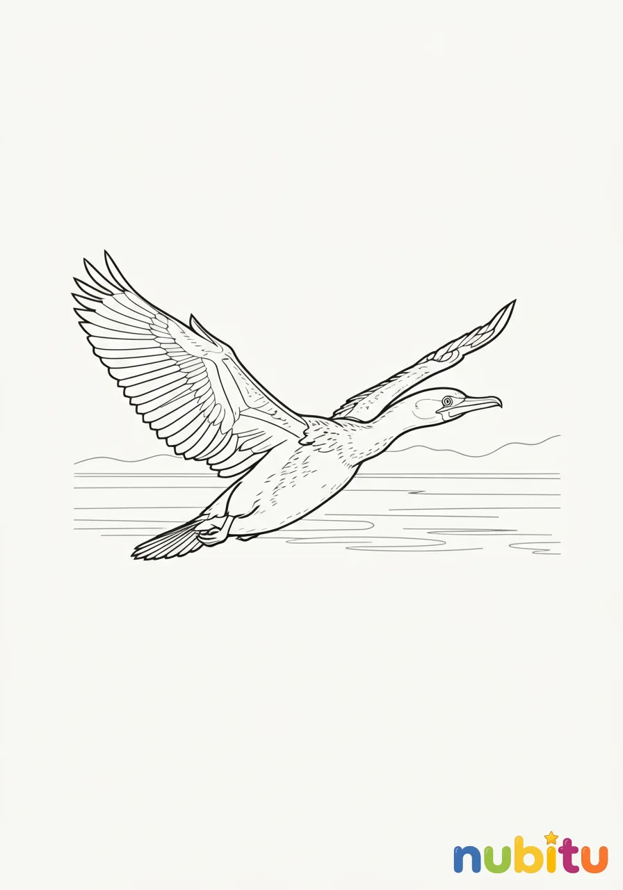 Dibujo
