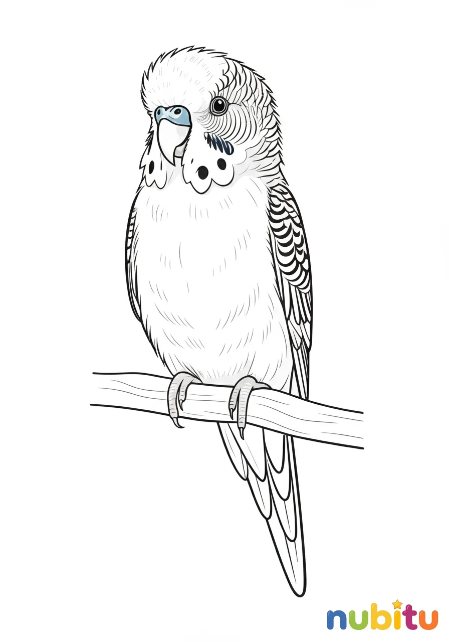 ¡vuela alto con los más divertidos cotorra argentina para artistas soñadores! 🦜