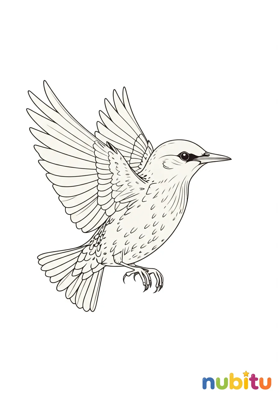 ¡un vuelo de creatividad! asombrosos estorninos para pequeños artistas ✨