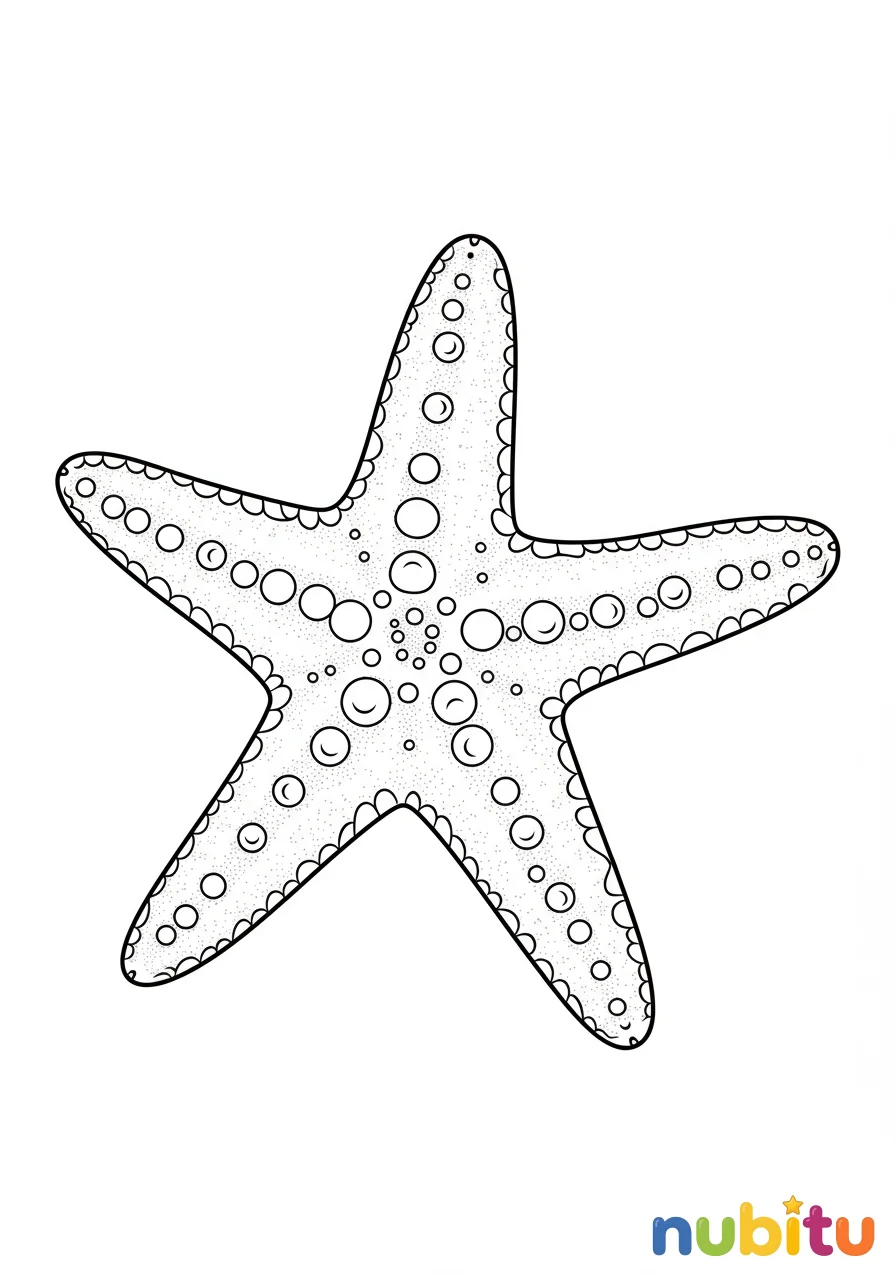 ¡sumérgete en la aventura! los más fascinantes estrellas de mar roja 🌟