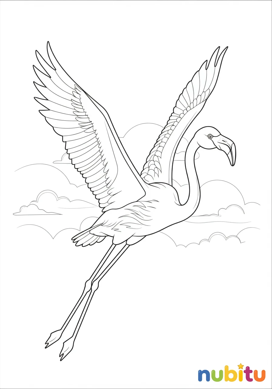 Dibujo