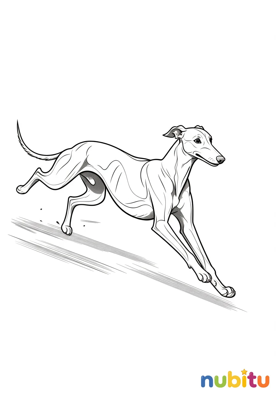 Dibujo