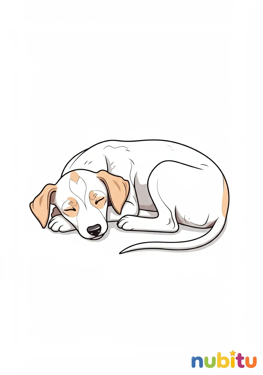 Dibujo