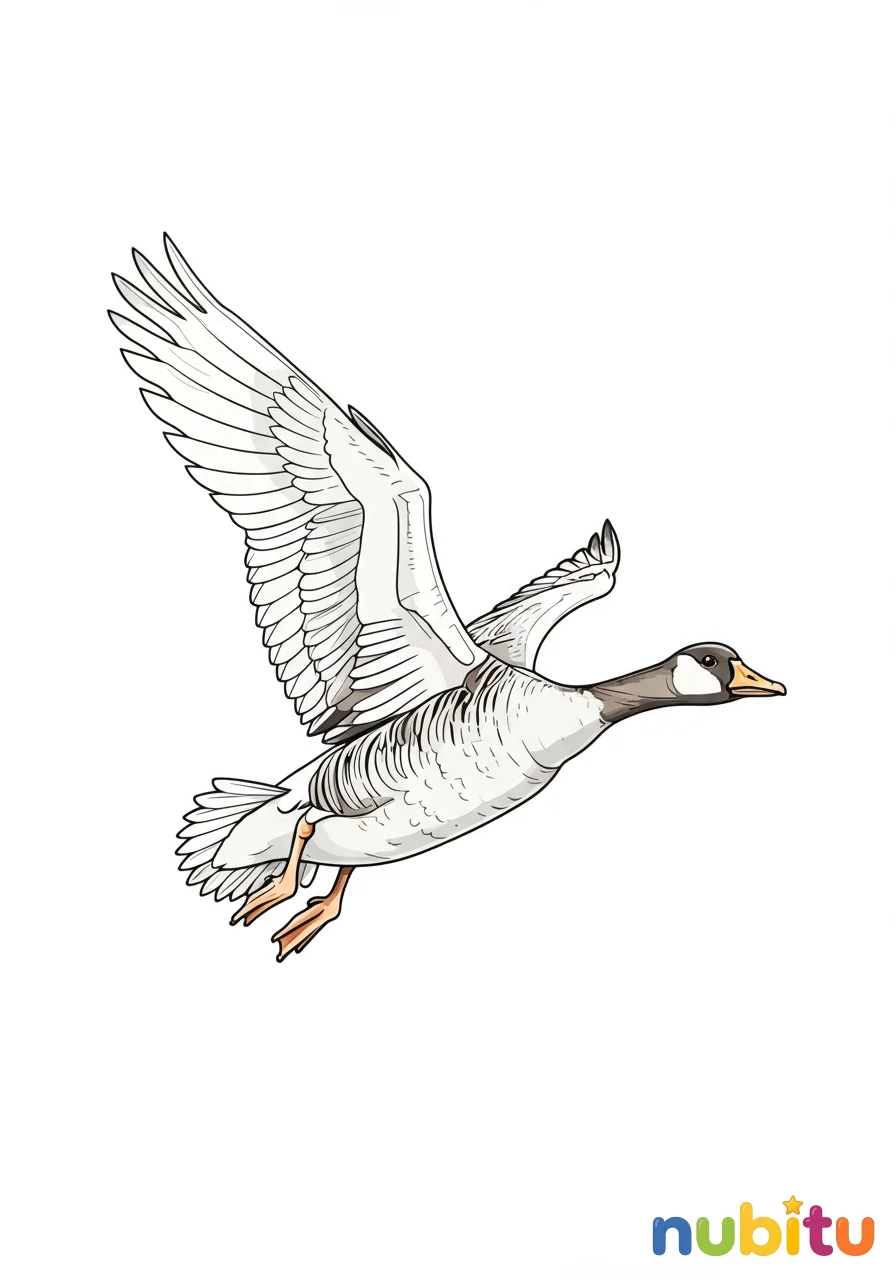 Aventuras aladas y gansos salvajes