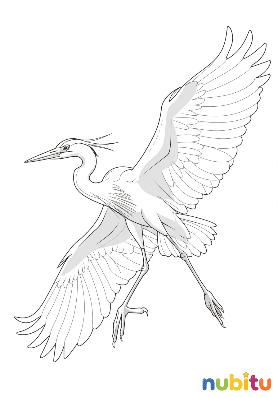 Dibujo