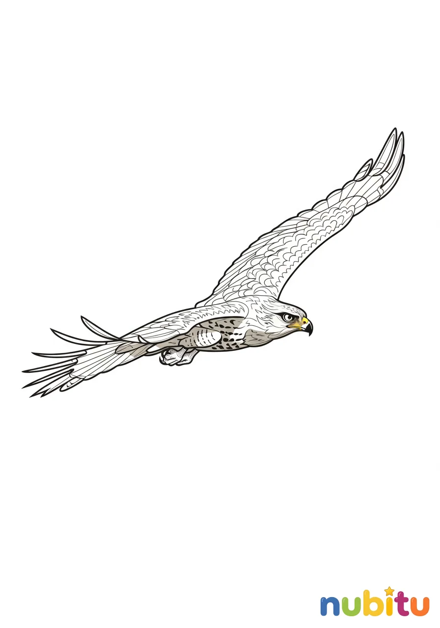 Dibujo