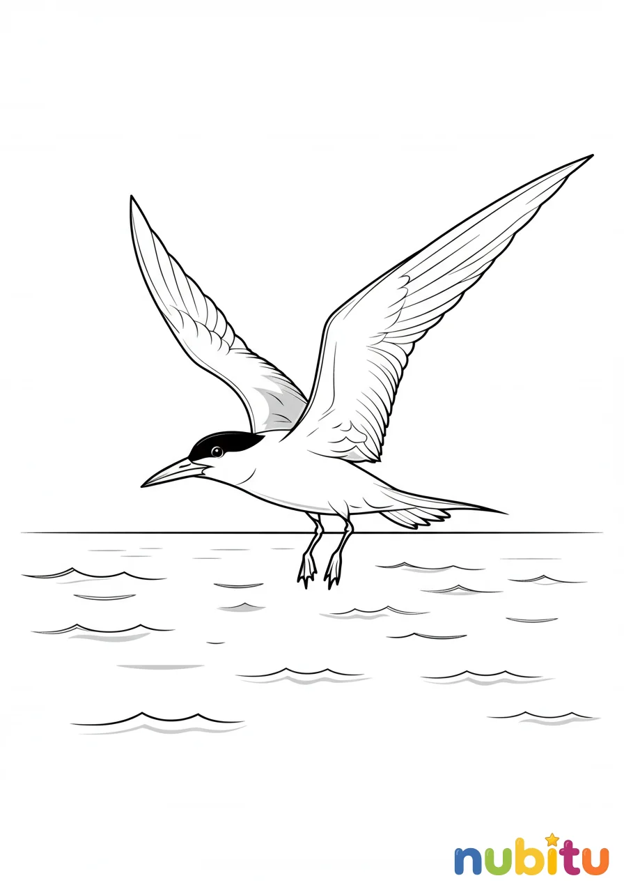 Lindos y tiernos gaviotines 🌊