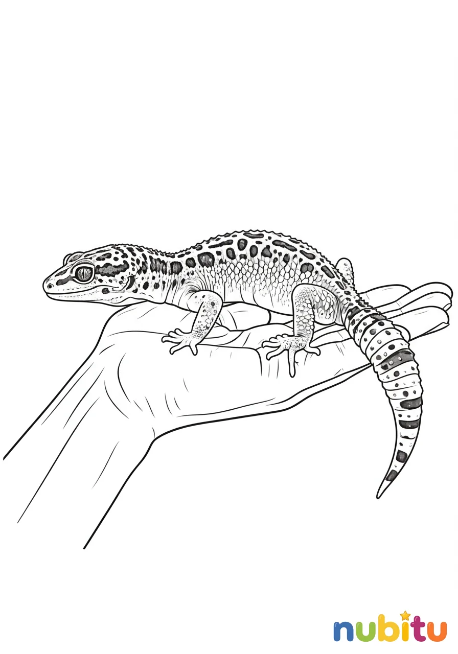 Dibujo