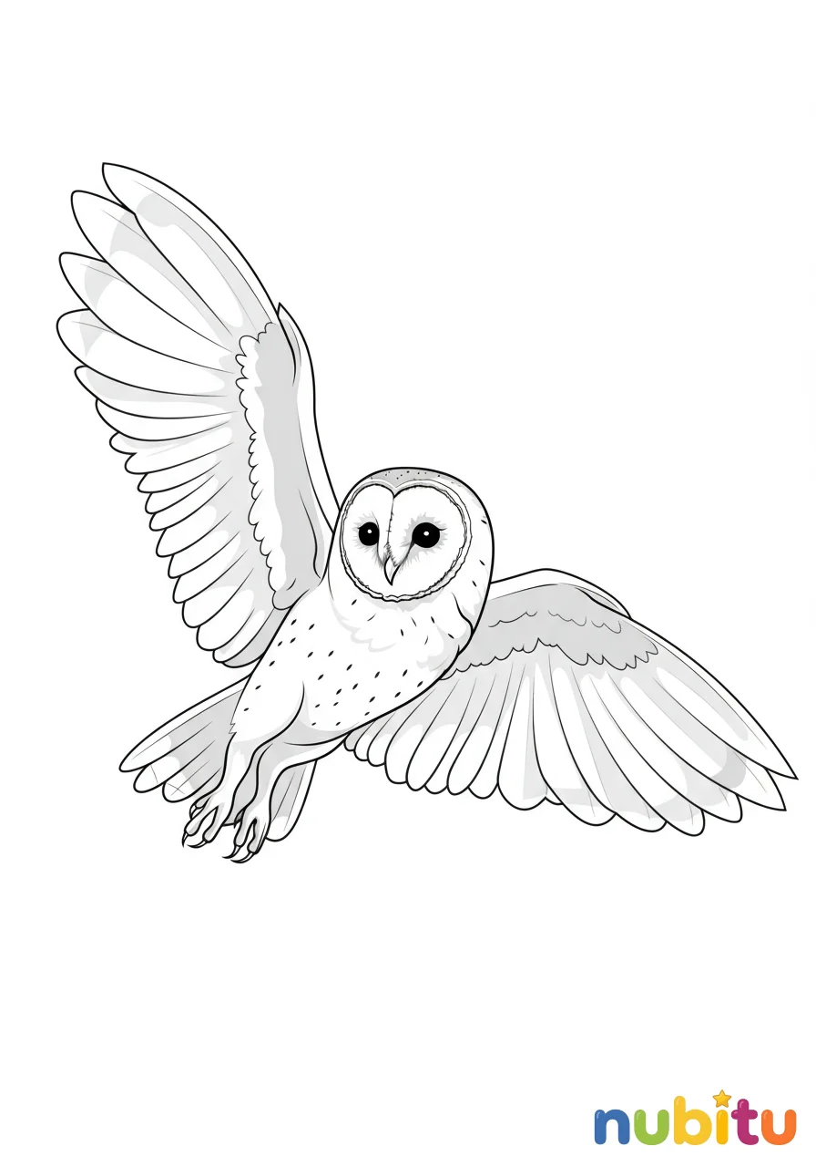 Dibujo