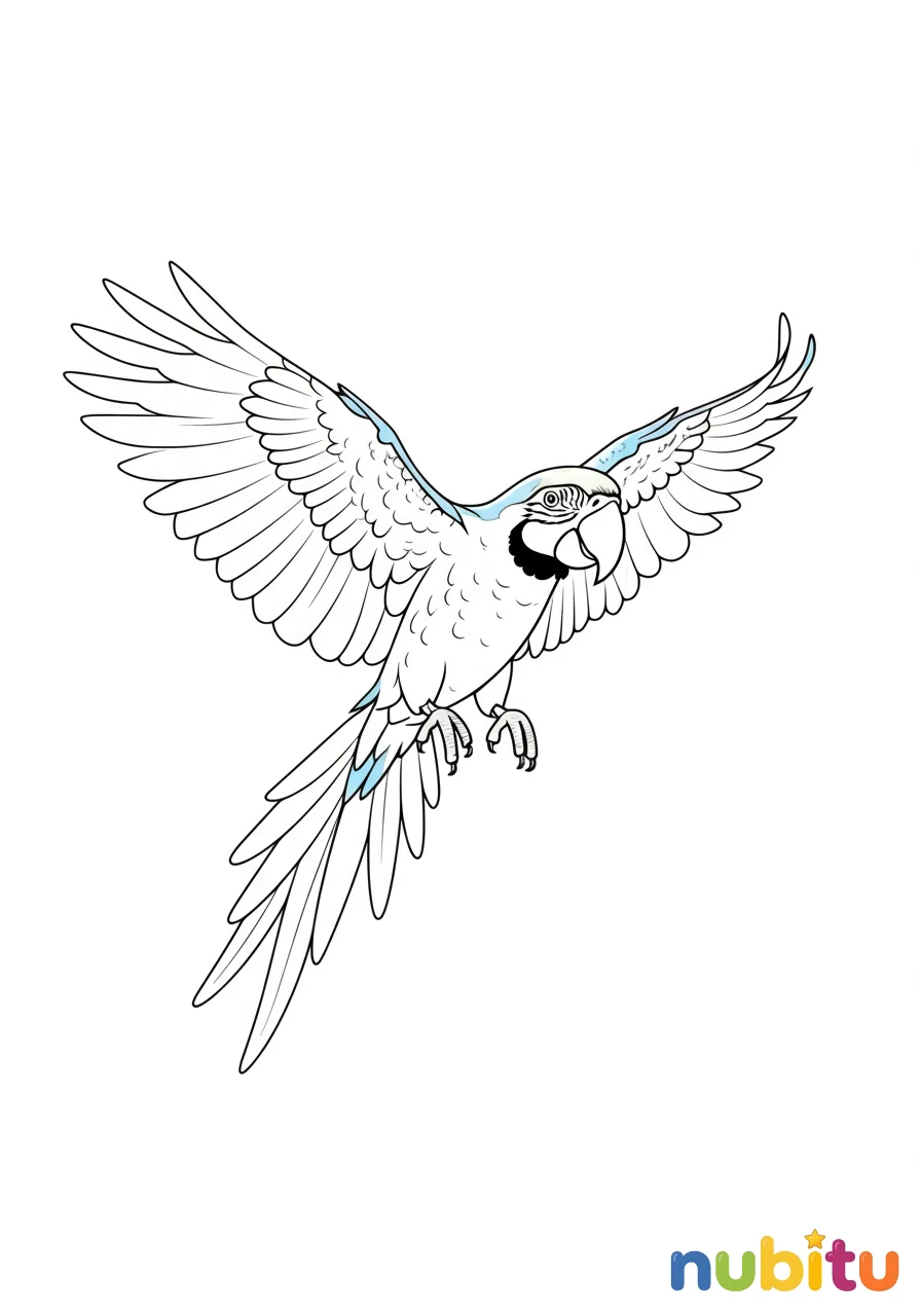 Dibujo