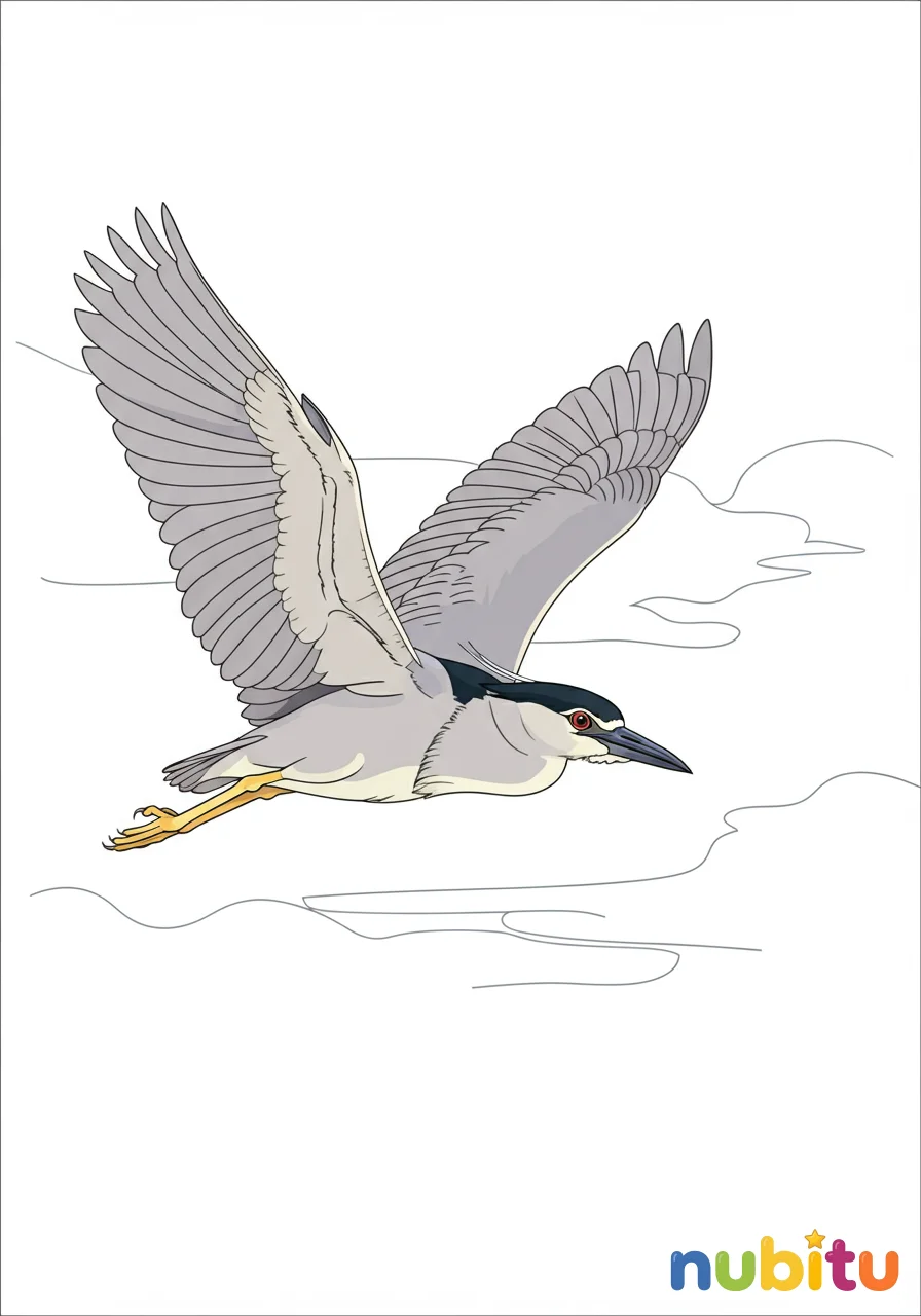 Dibujo