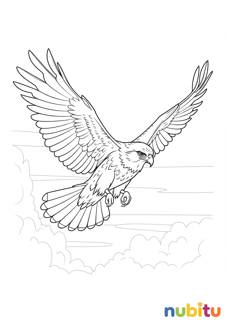 Dibujo