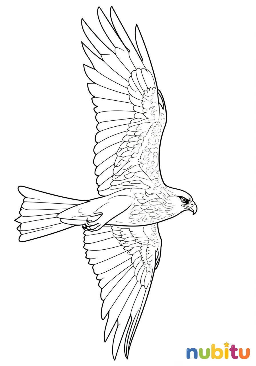 ¡a volar con los más bellos milanos reales pardos para pequeños artistas! 🦅