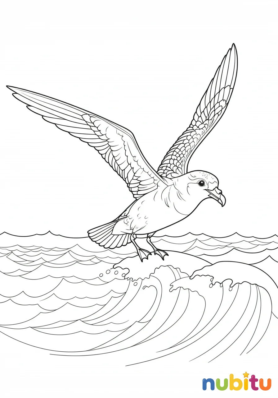 Aventuras aéreas y paíños