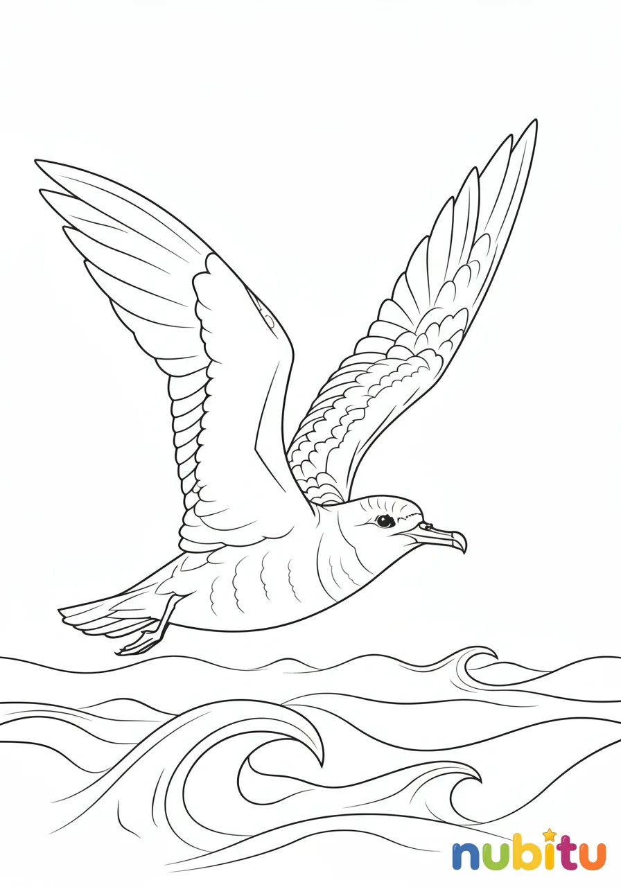 ¡a volar la imaginación! pardelas cenicientas y soñar en grande 🐦