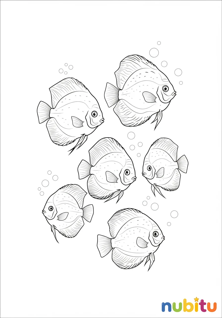 Dibujo