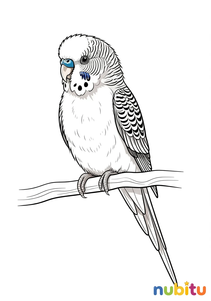 Aventuras aladas y encantadoras