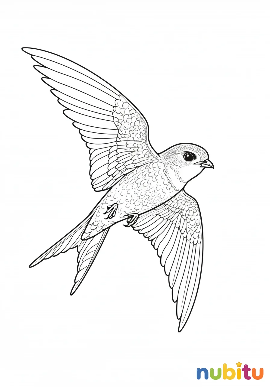 ¡alas de imaginación! descubre los fascinantes vencejo para pequeños artistas intrépidos 🐦