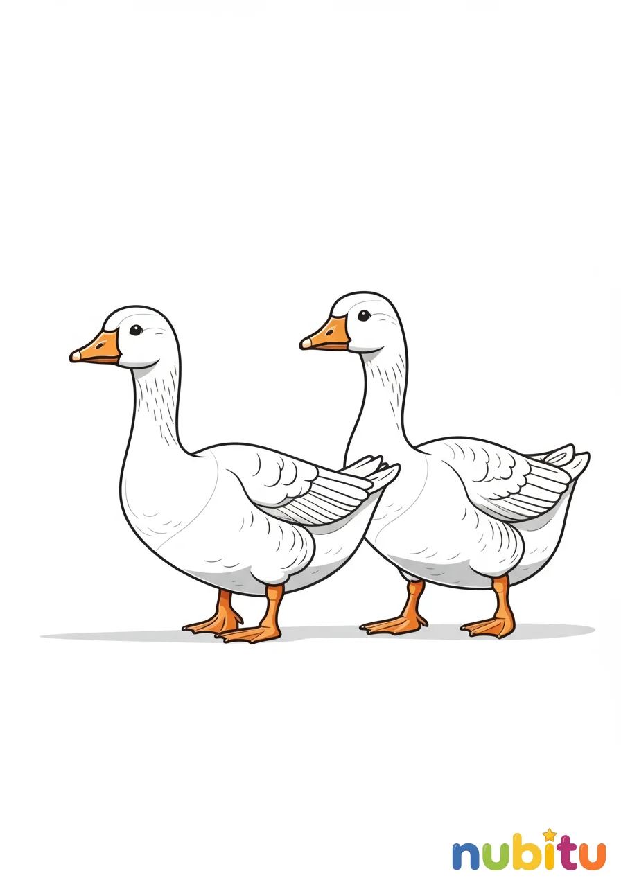 Dibujo