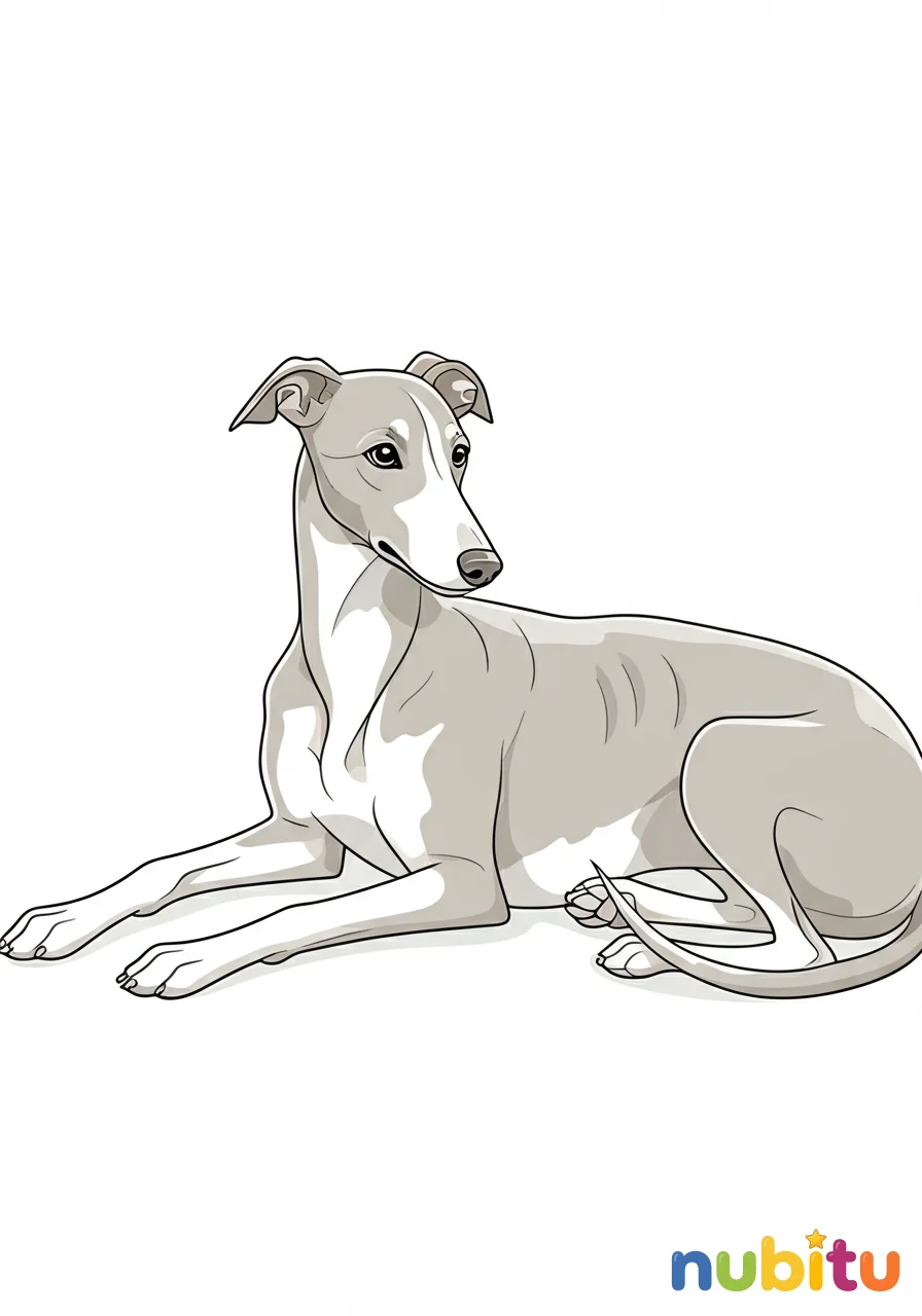 Dibujo